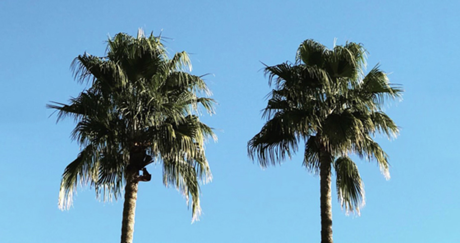 How’s your client/creative relationship? A nonscientific quiz.